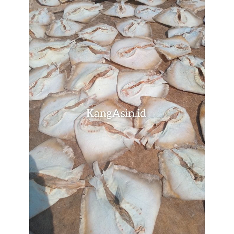 

ASIN LALAY/ikan asin Lalay 250gr