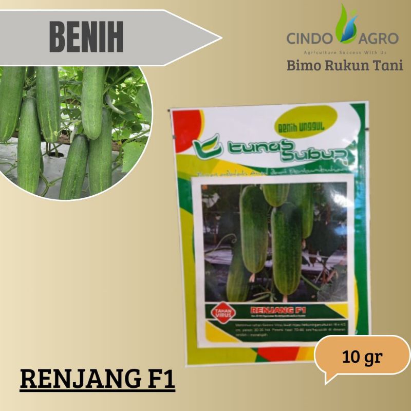 Timun RENJANG F1 - 10 gr