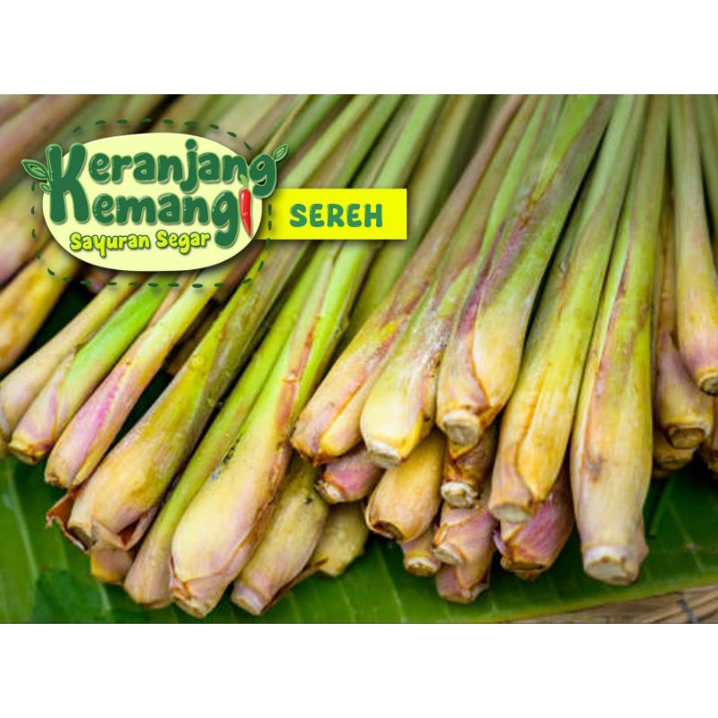 

Sereh Segar