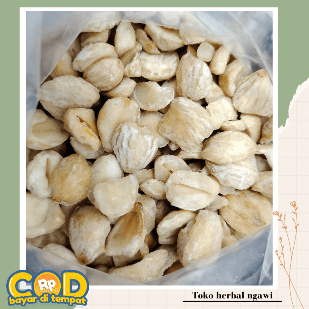 

Kemiri Pecah Grade A Higiensis Tanpa Bahan Pengawet