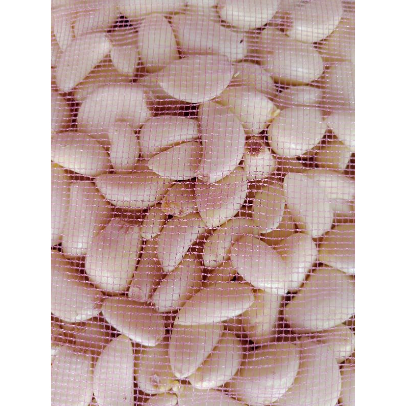 

Bawang Putih Kating Kupas Bersih 20 Kg Fresh