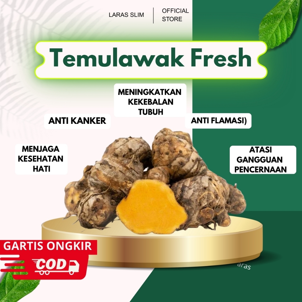 

TEMULAWAK ASLI (1KG) SEGAR FRESH KUALITAS PREMIUM | BIANG TEMULAWAK | EMPU BIANG TEMULAWAK