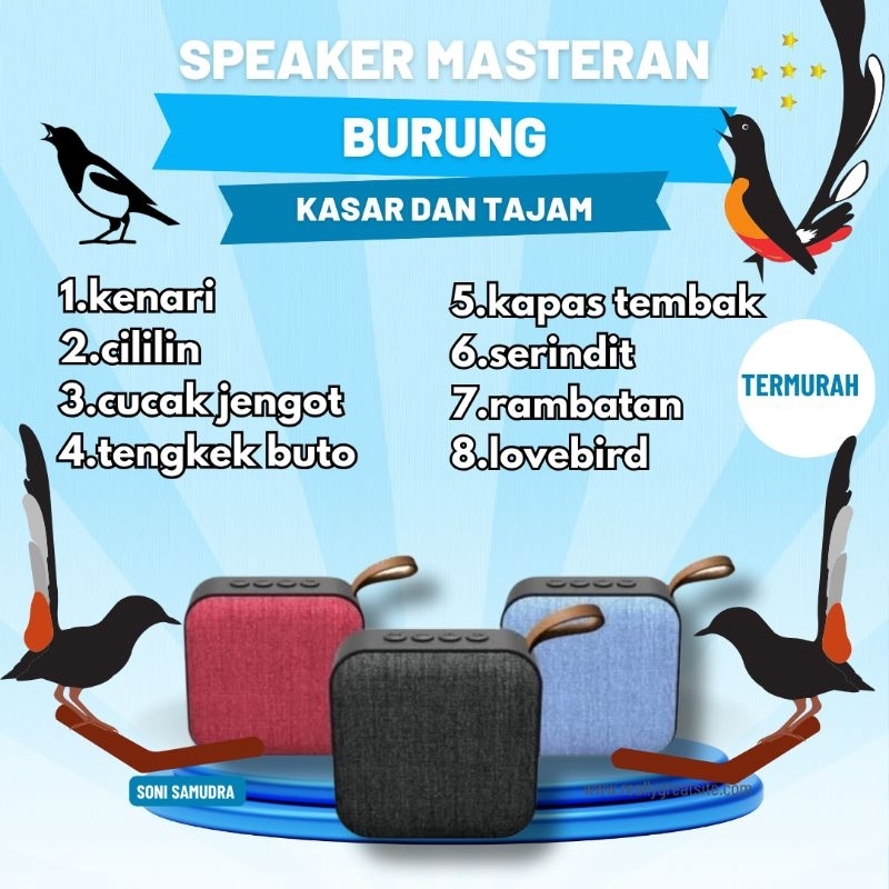 MP3 masteran khusus burung murai termurah