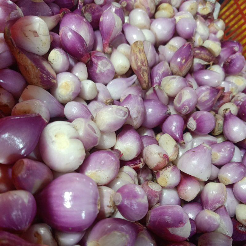 

Bawang Merah Kupas Brebes Ukuran 250g/500g/1kg