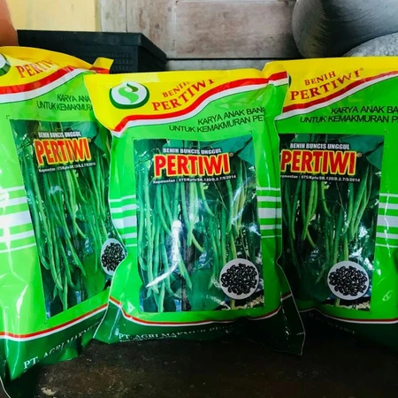 Benih Buncis pertiwi / Bibit Buncis Pertiwi 500g / benih buncis unggul/Rasa agak manis