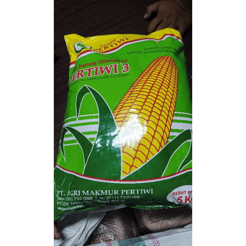 Bibit Jagung Benih Jagung Berkualitas Pertiwi 3 Kemasan 5kg