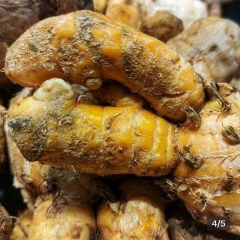 

1 kg Temulawak untuk obat herbal