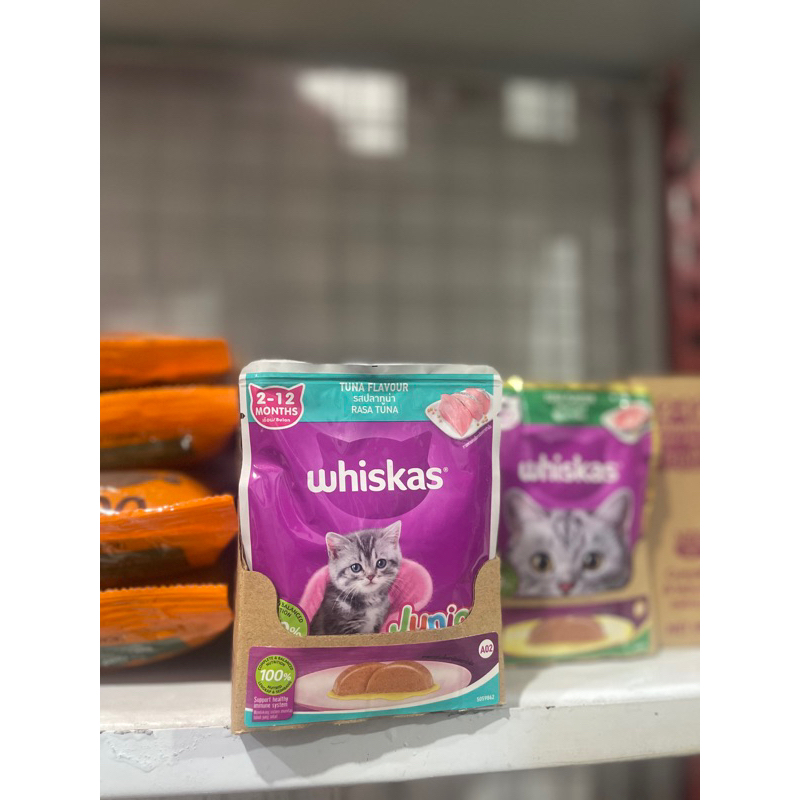 makanan kucing basah whiskas tuna kitten