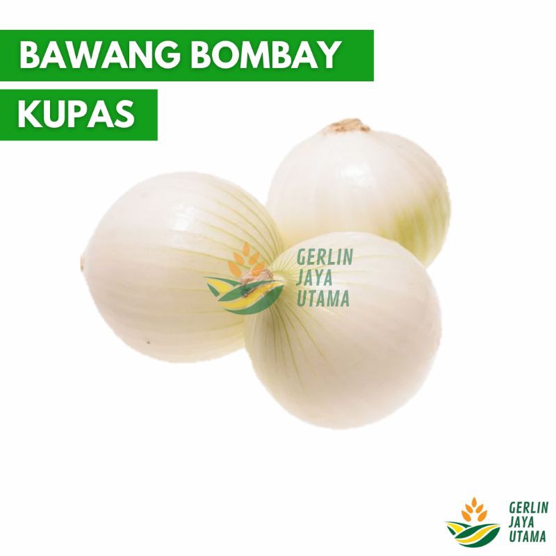 

(1Kg/500Gram/250Gram) Bawang Bombay Kupas