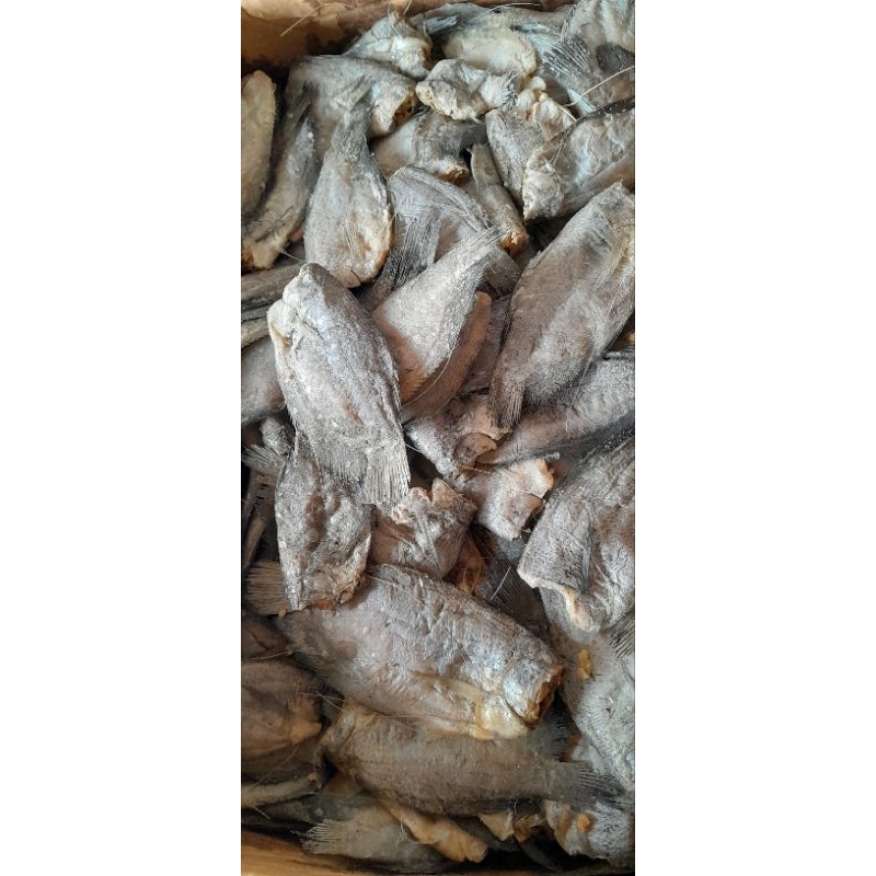 

Sepat Siem 1 KG ( 1000 Gram )