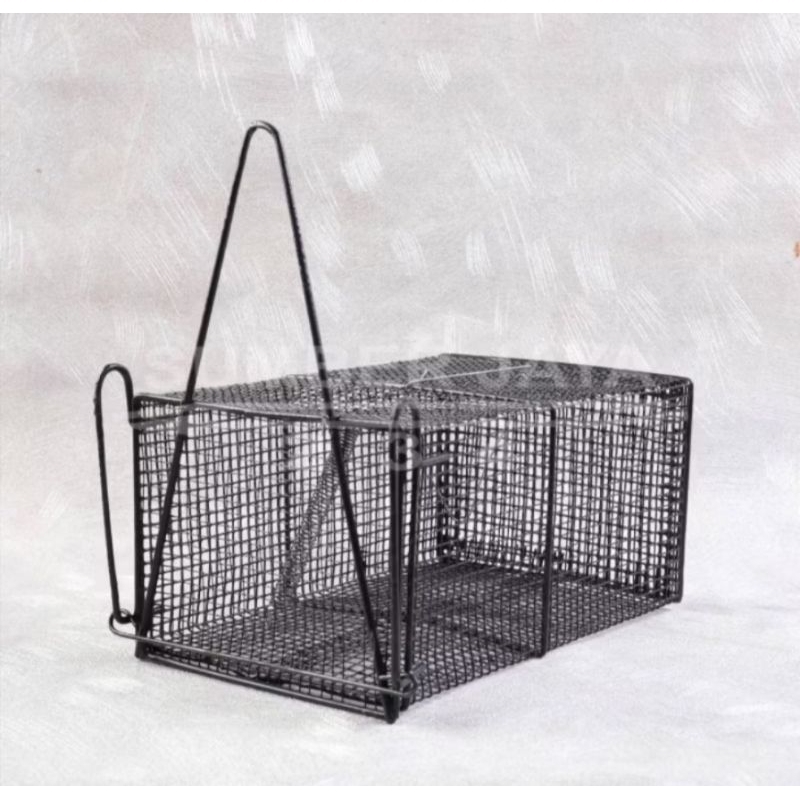 Jebakan Tikus/Perangkap Tikus Tebal