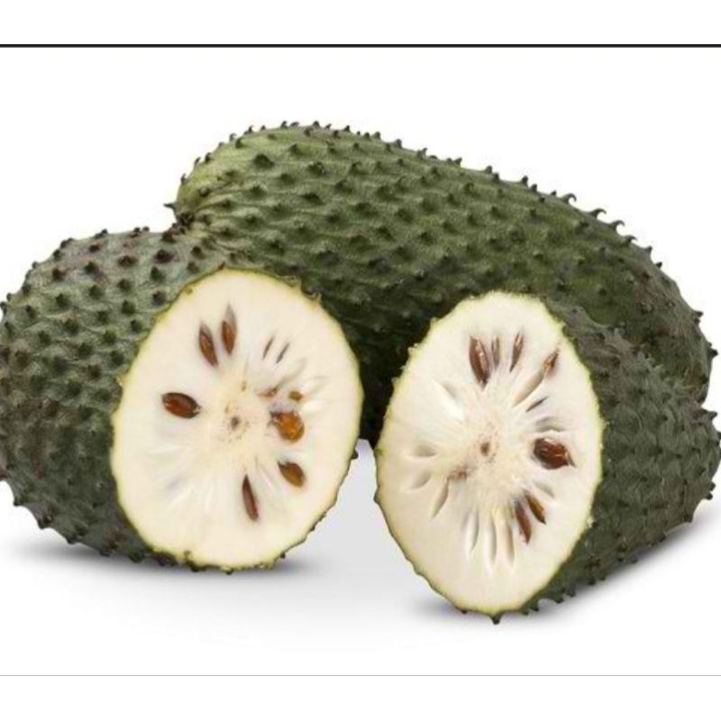 

SIRSAK FRESH SEGAR (PERBUAH)