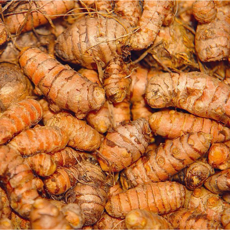 

Kunyit Bumbu 500 gram Family Sayuran Fresh Dari Kebun