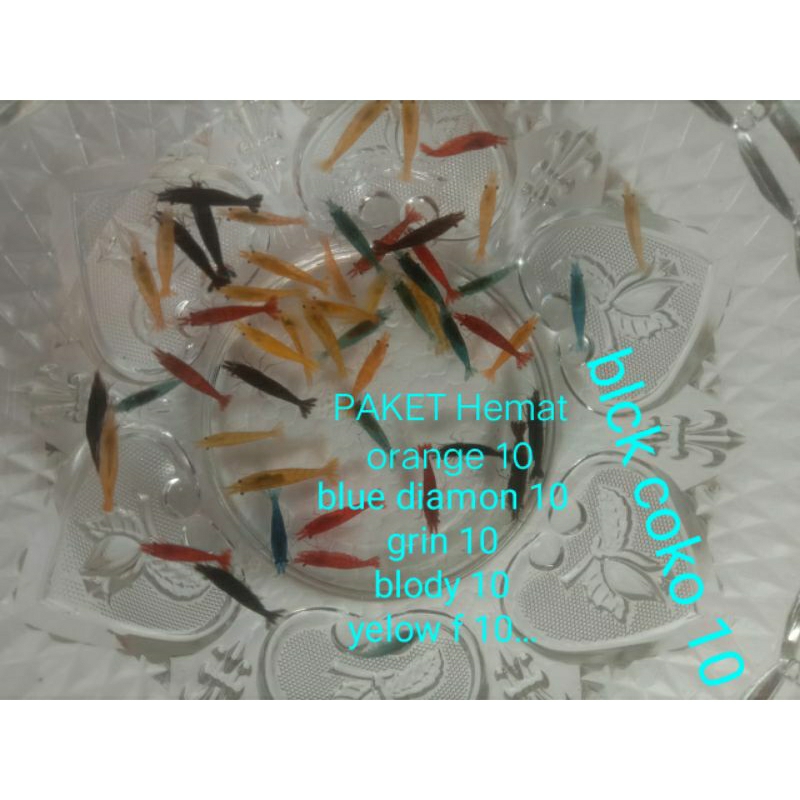 paket udang hias aquascape