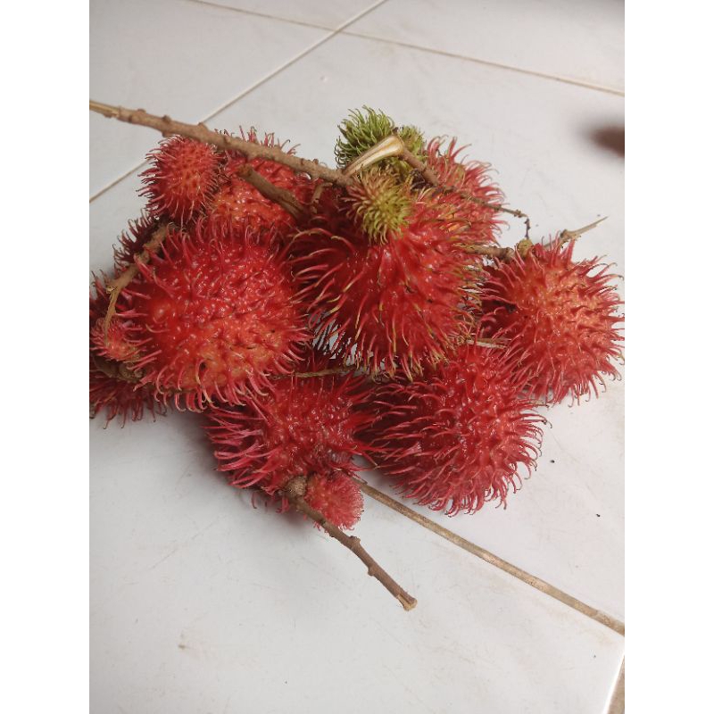 

rambutan fresh, metik langsung dari pohon 1kg