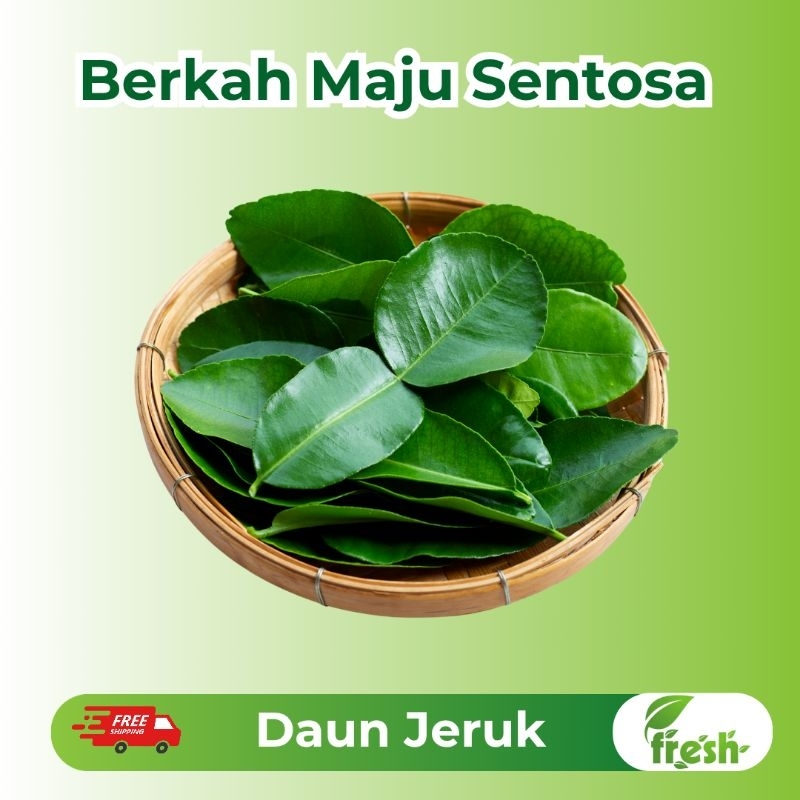 

[INSTANT] Daun Jeruk Purut Fresh 30gr