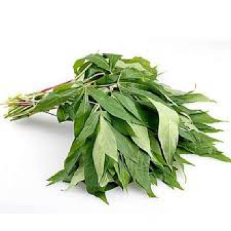 

Sayur Daun Singkong 1 ikat fresh