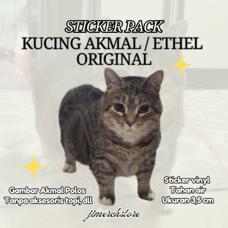 

STICKER KUCING AKMAL ETHEL POLOS LUCU Stiker Pack