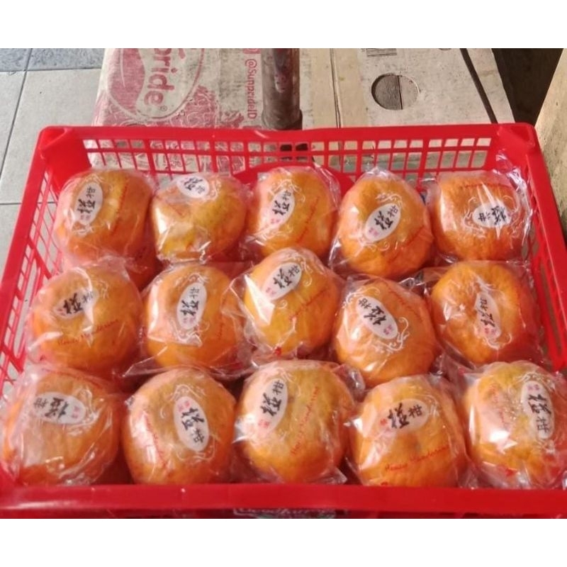 Indukbuah Jeruk Mandarin Ponkam Honey Manis 1 Keranjang 5kg