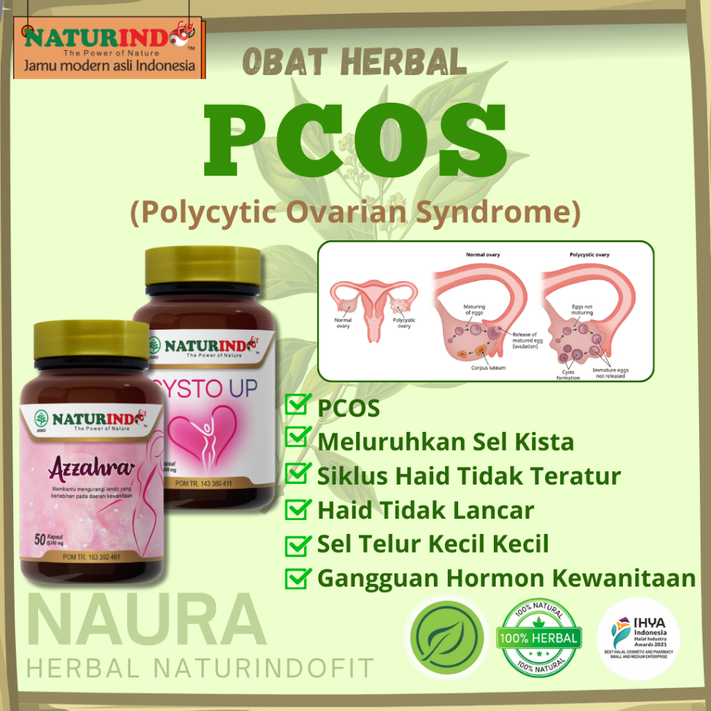 Obat Herbal PCOS Polycystic Ovarian Syndrome Sel Telur Kecil Cysto Up Azzahra Herbal Naturindo