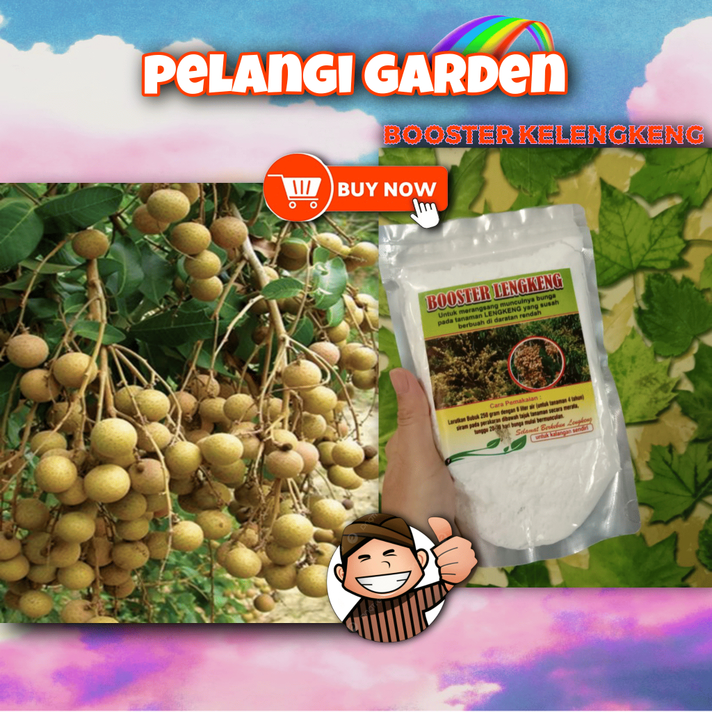 UNGGULAN  Boster Kelengkeng New Kristal Berbunga