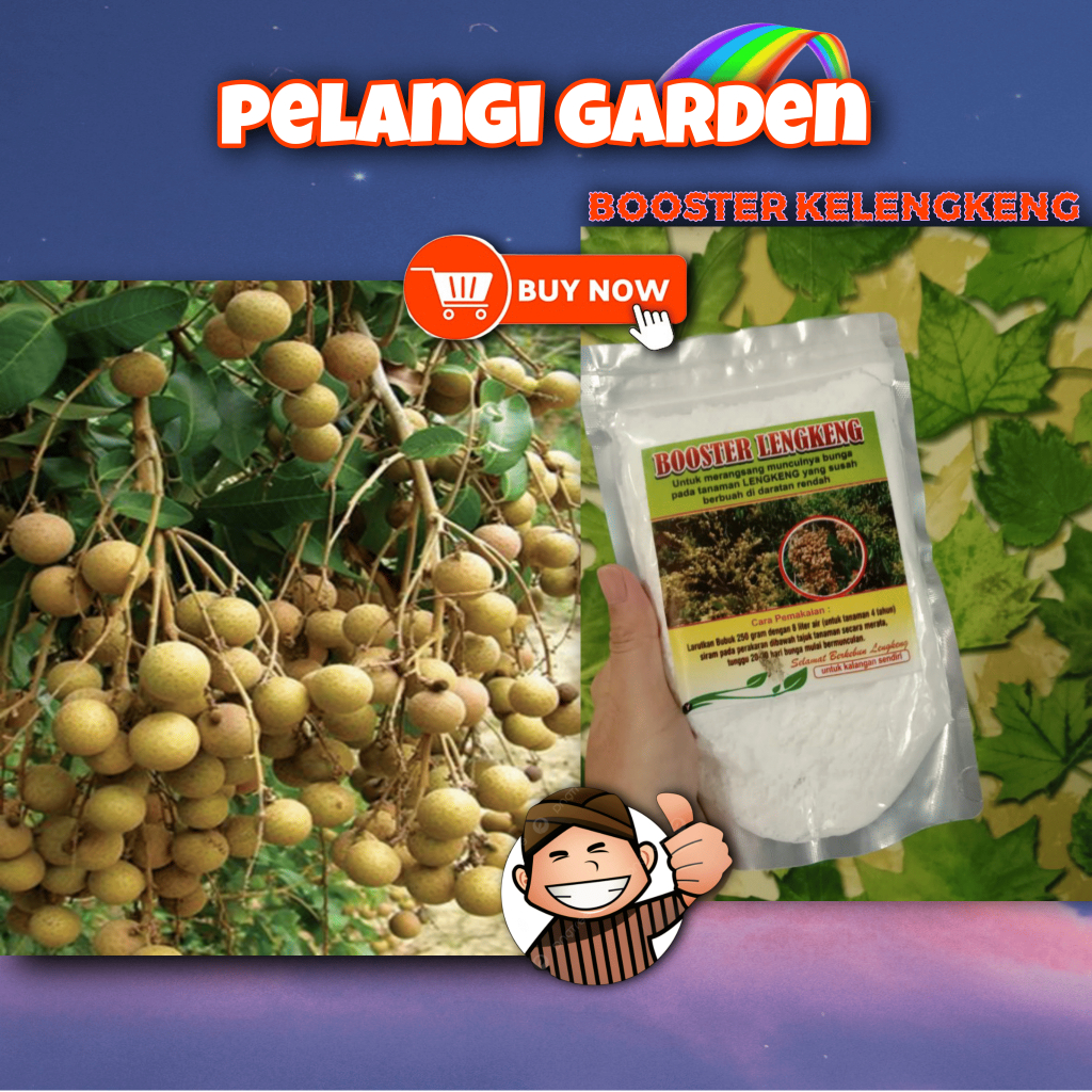 KUALITAS TERBAIK  Boster Kelengkeng Potasium