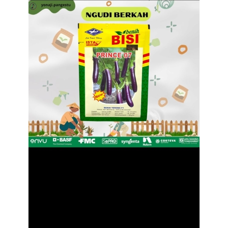 new prince 07 benih terong unggul NEW PRINCE