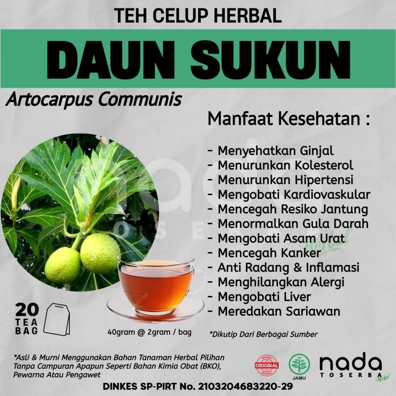 

Teh Celup Herbal DAUN SUKUN Isi 20 Tea Bag | Herbal Batu Ginjal | Artocarpus Communis