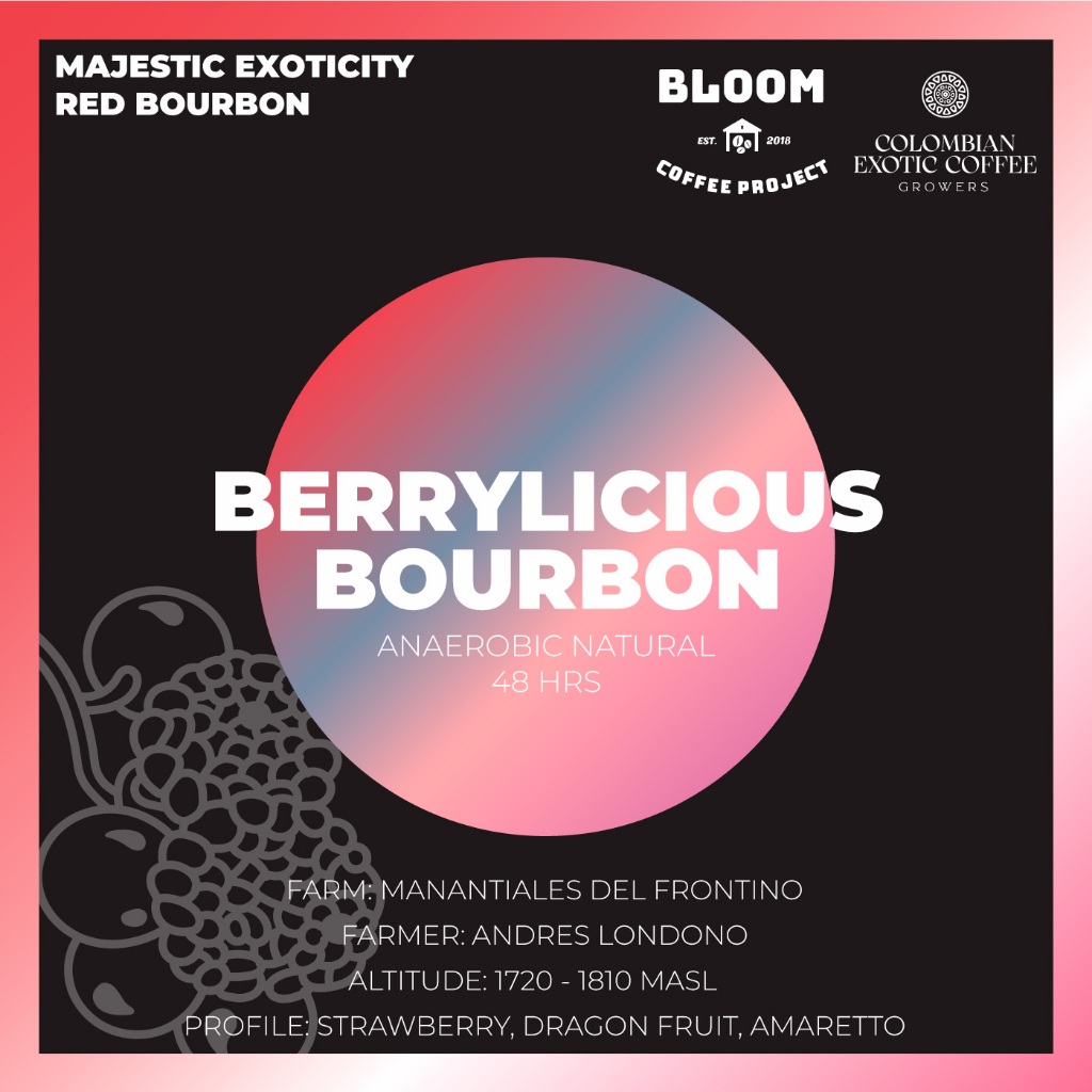 

Biji Kopi Colombia CEC - Berrylicious Bourbon - Majestic Exoticity - Anaerobic Natural 48 Hrs