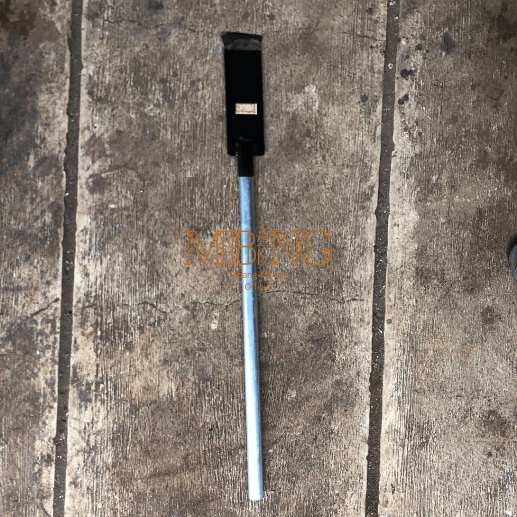 Raflezia Dodos 90Cm Per Asli / Dodos Tanah / Linggis Tanah / Dodos Pasir