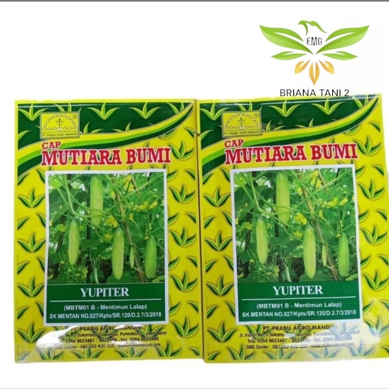 Yupiter 20gr Benih Timun Mentimun Lalap Mutiara Bumi Semi
