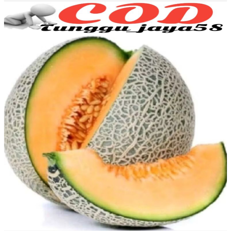 100 BIJI BENIH MELON JUMBO F1 KUALITAS TERBAIK benih bibit buah