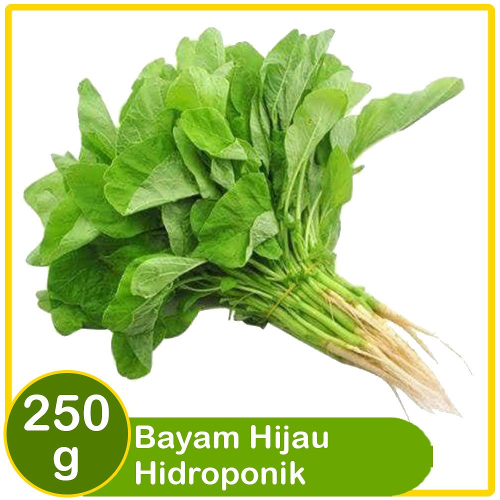 

Batamindo Bayam Hijau Hidroponik 250g – Segar, Sehat, & Bebas Pestisida
