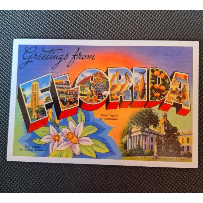 

kartu pos greetings from florida/greetings from Postcard