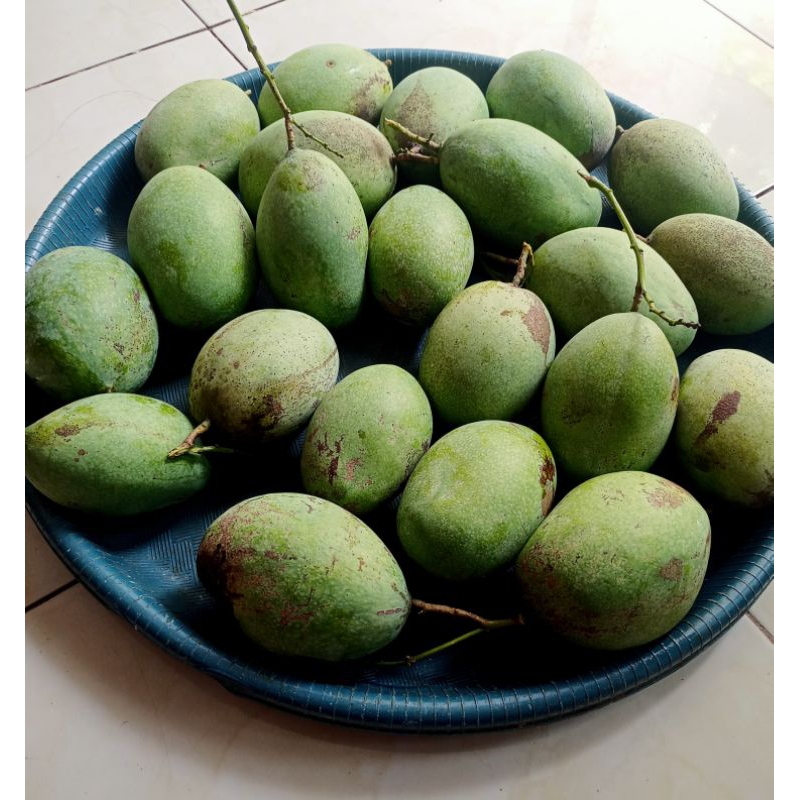 

Mangga muda manalagi