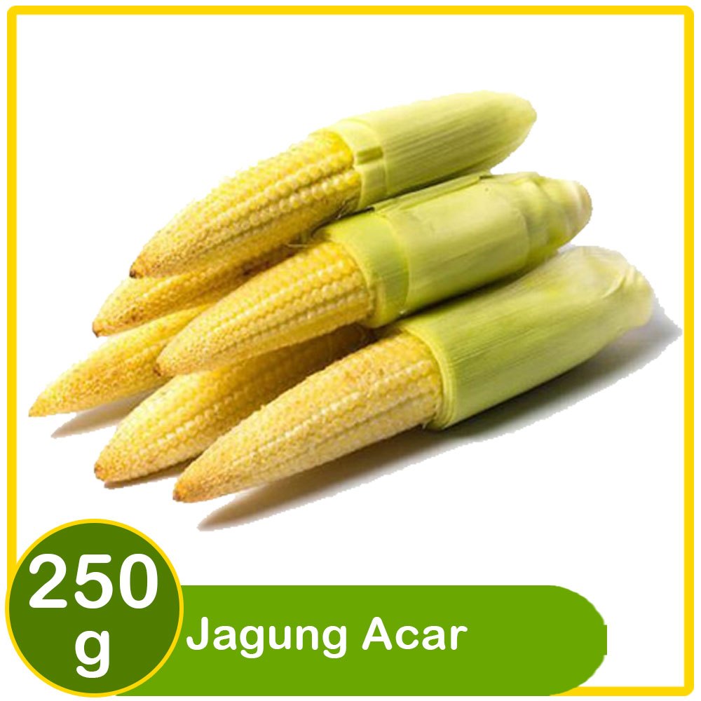 

Jagung Acar 250g – Segar, Manis, & Siap Olah