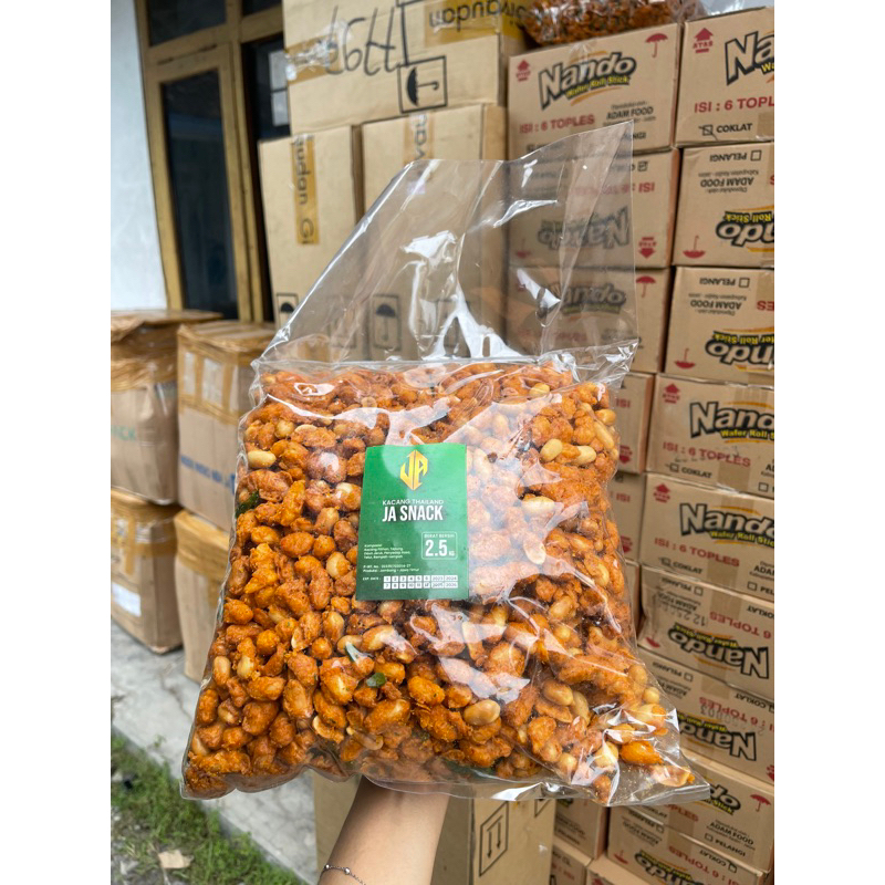 

READY KACANG THAILAND BALL