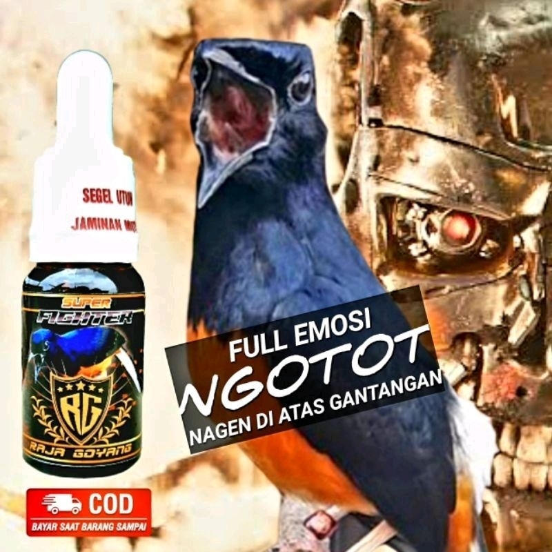 RG SUPER FIGHTER MURAI VITAMIN BURUNG MURAI GACOR BONGKAR ISIAN FIGHTER VITAMIN BURUNG KHUSUS BURUNG