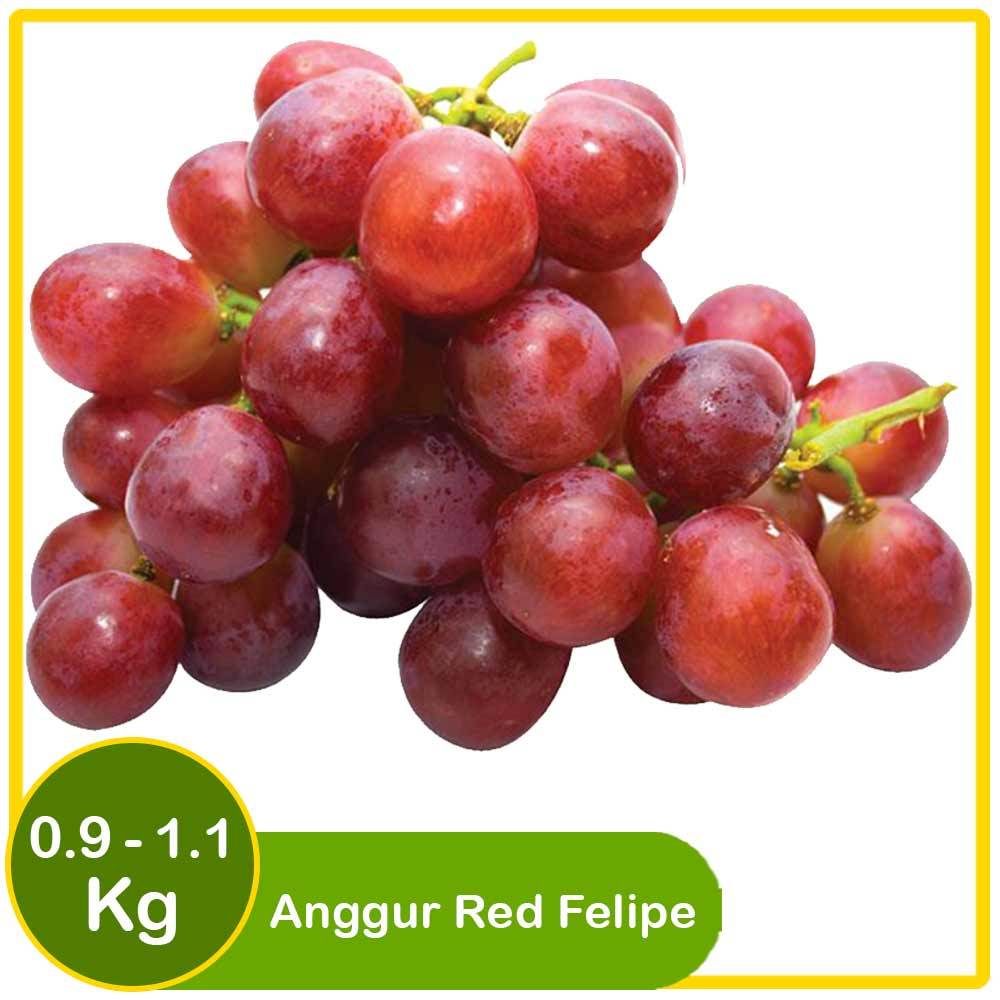 

Anggur Red Felipe – Manis, Segar, & Berkulit Tipis!