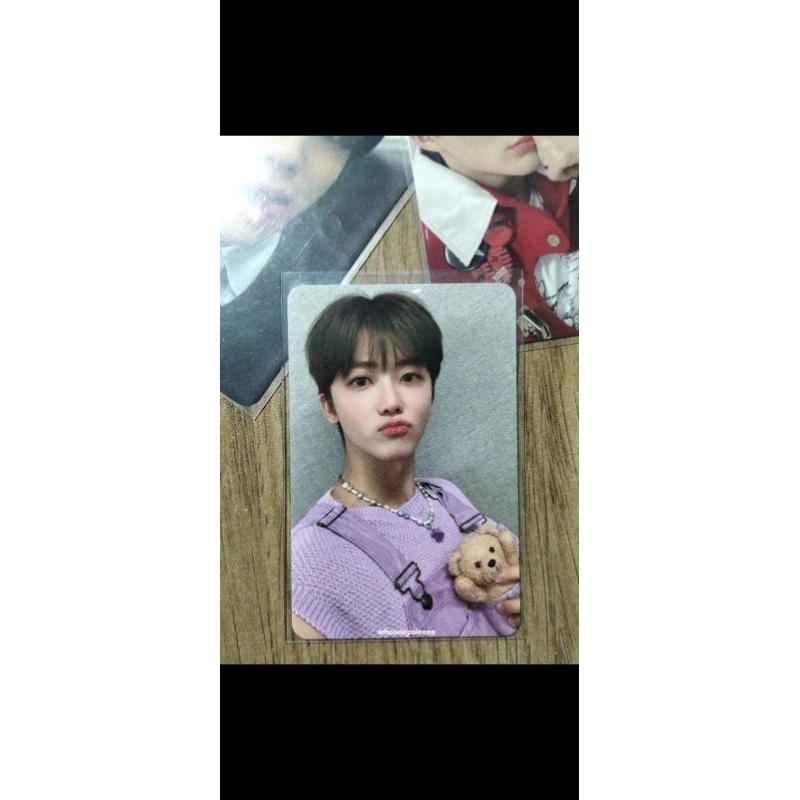 PHOTOCARD JAEMIN COLLECTING VER GOLDEN AGE NCT 2023 | Nana boneka ungu pout