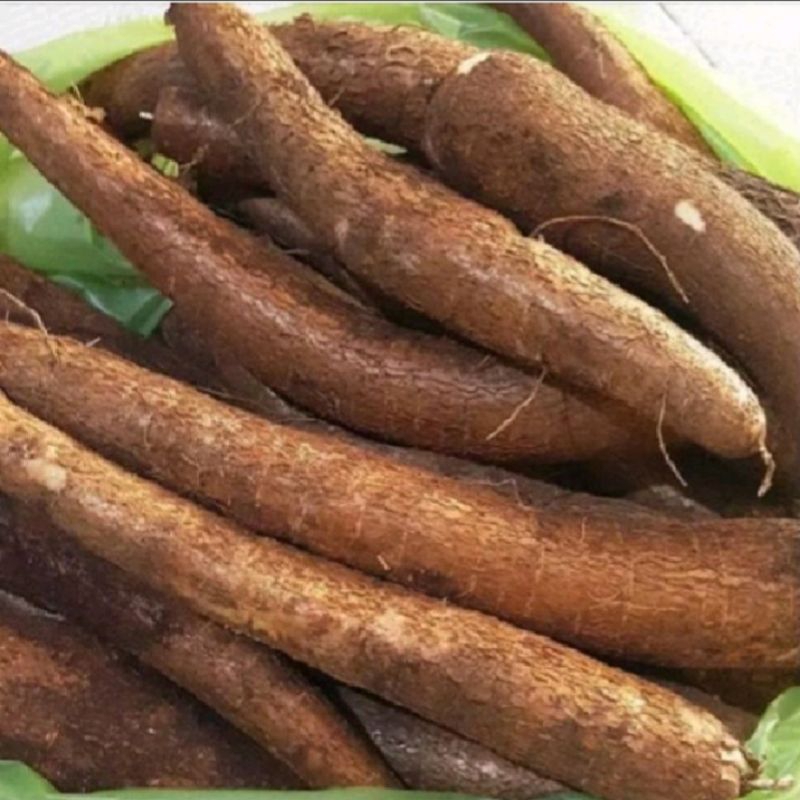 

Singkong keju ,singkong mentega ,singkong pulen