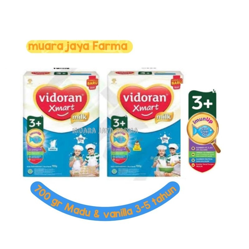Vidoran Xmart 3+