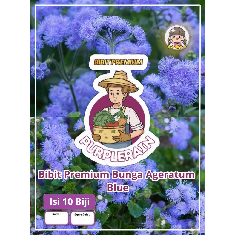Bibit Premium Bunga Ageratum Blue | Benih Bunga Ageratum Blue