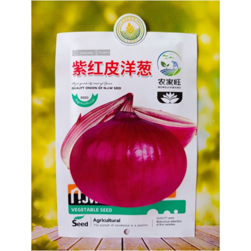 BIJI BENIH BAWANG BOMBAI MERAH JUMBO IMPOR KEMASAN ORIGINAL ± 500 BUTIR