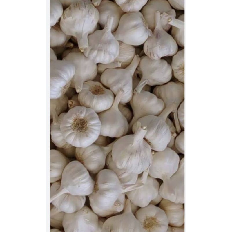 

BAWANG PUTIH SUPER