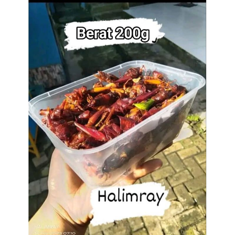 

BELALANG KAYU GORENG BERT 200g