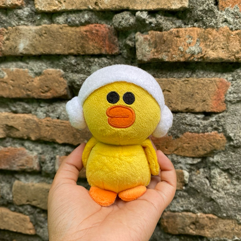 Boneka Sally Line Friends Sauna