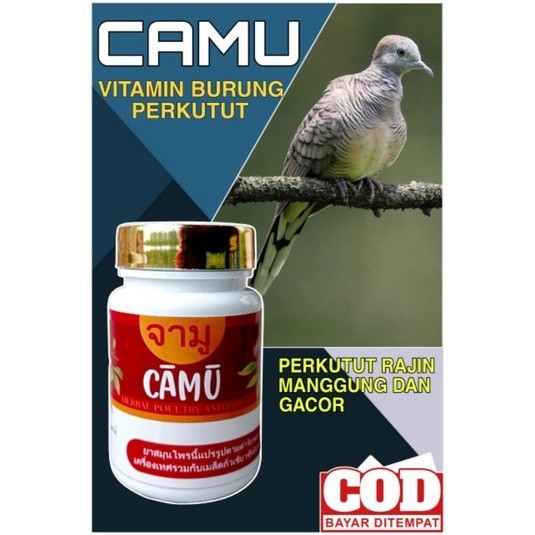 Camu Jamu Pil Perkutut Gacor | Sehat | Rajin Manggung | Super | Bangkok | Katurangan | lokal | Putih