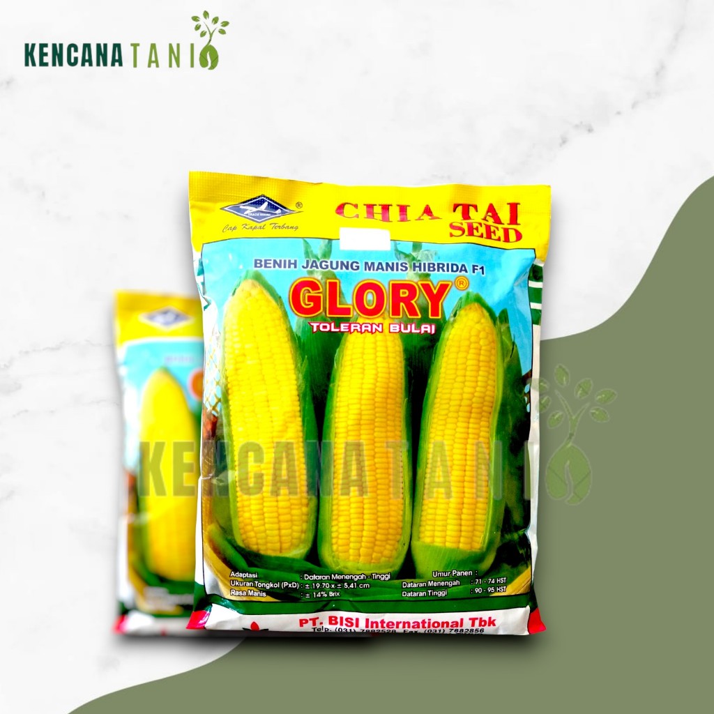 

Benih Jagung Manis Glory 250 gram