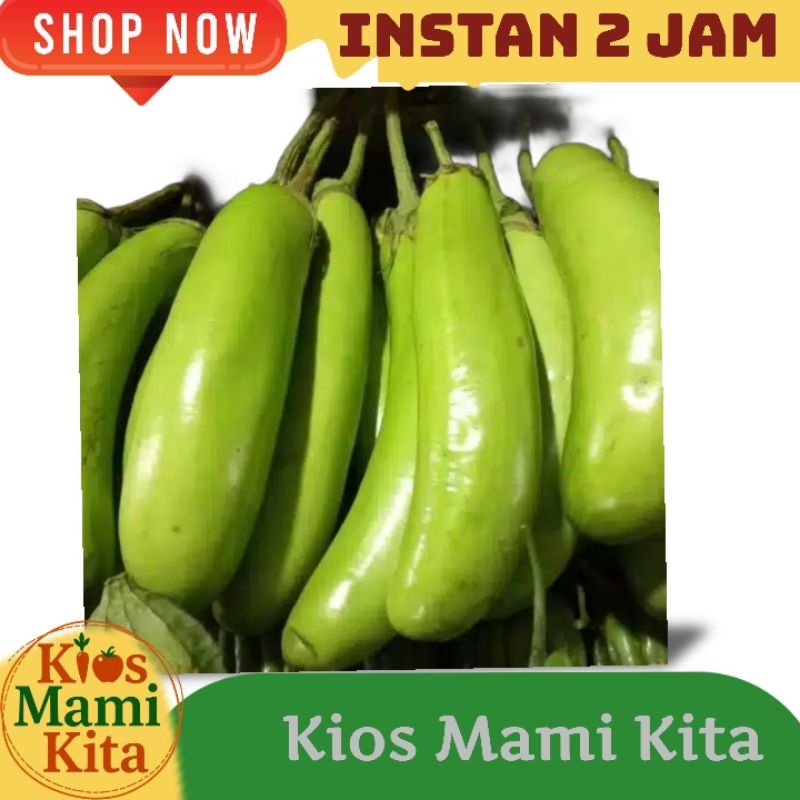 

Sayur Terong Ijo 250 gr